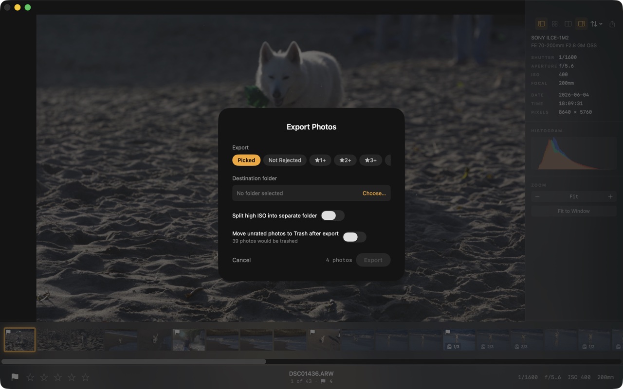 Palomino export sheet