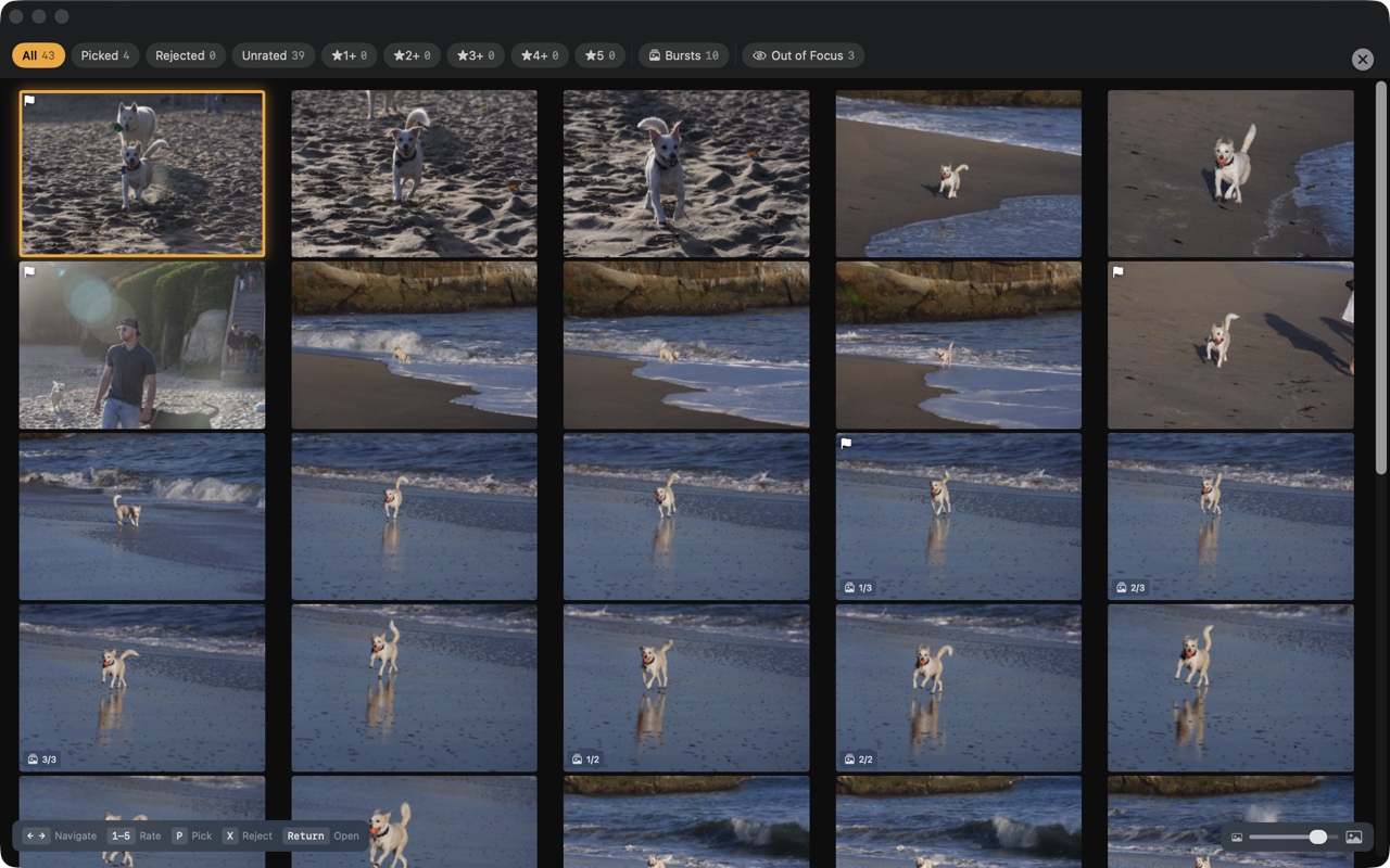 Palomino grid view with filter bar and quality badges