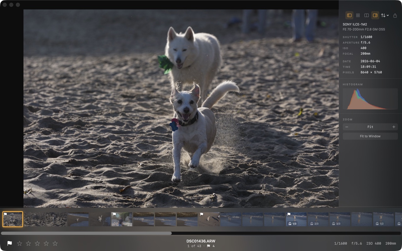 Palomino preview view with info panel, histogram, and filmstrip